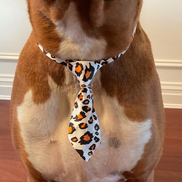 Other - 3/ $20 Dog Necktie Collar